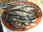 Charcoaled sardines
